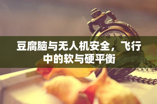 豆腐脑与无人机安全，飞行中的软与硬平衡