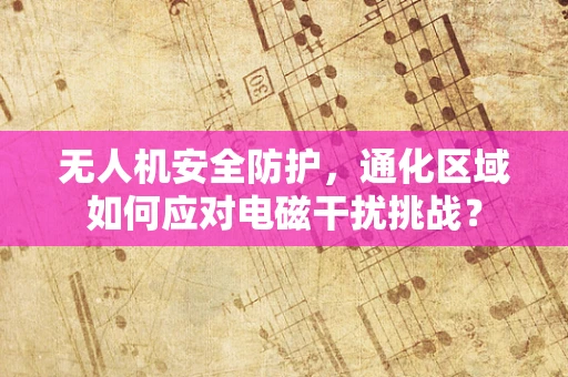 无人机安全防护，通化区域如何应对电磁干扰挑战？