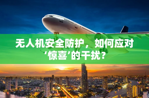无人机安全防护，如何应对‘惊喜’的干扰？