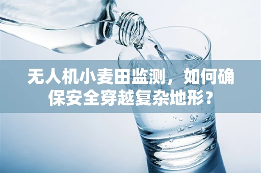 无人机小麦田监测，如何确保安全穿越复杂地形？