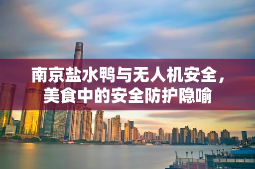 南京盐水鸭与无人机安全，美食中的安全防护隐喻
