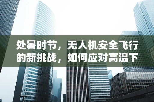 处暑时节，无人机安全飞行的新挑战，如何应对高温下的电池性能下降？