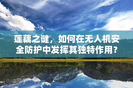 莲藕之谜，如何在无人机安全防护中发挥其独特作用？