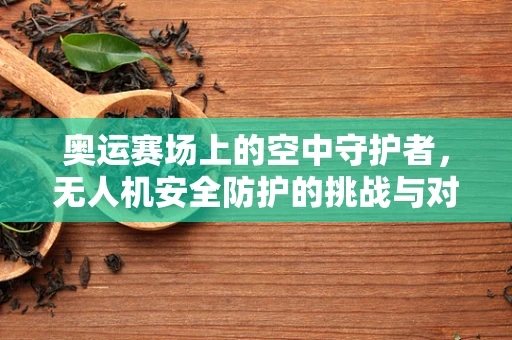 奥运赛场上的空中守护者，无人机安全防护的挑战与对策