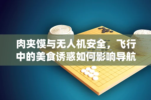 肉夹馍与无人机安全，飞行中的美食诱惑如何影响导航系统？