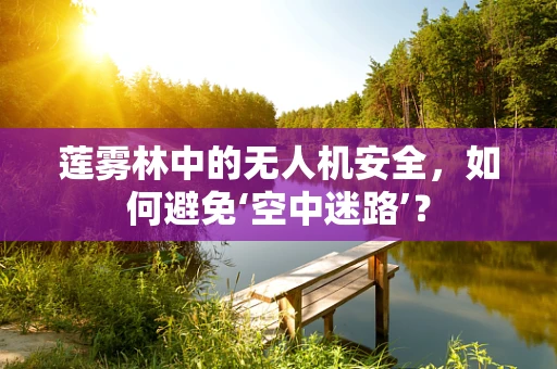 莲雾林中的无人机安全，如何避免‘空中迷路’？