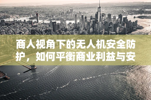 商人视角下的无人机安全防护，如何平衡商业利益与安全风险？