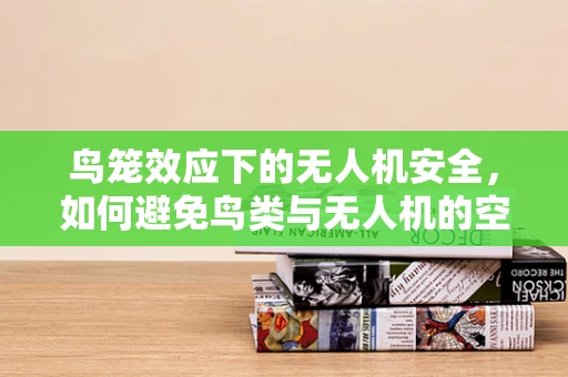 鸟笼效应下的无人机安全，如何避免鸟类与无人机的空中碰撞？