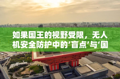 如果国王的视野受限，无人机安全防护中的‘盲点’与‘国王视角’的挑战