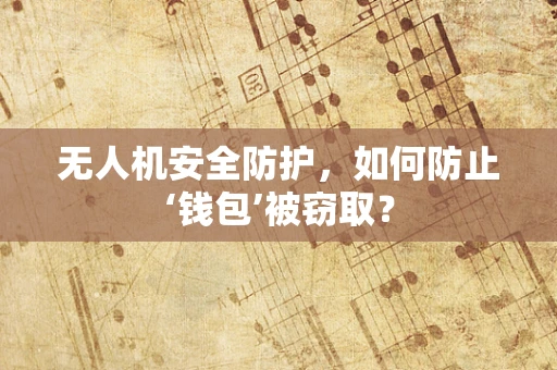 无人机安全防护，如何防止‘钱包’被窃取？