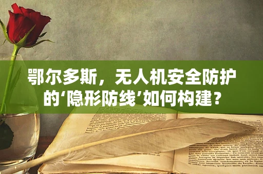 鄂尔多斯，无人机安全防护的‘隐形防线’如何构建？
