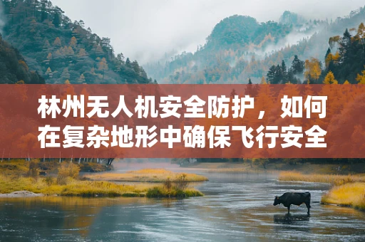 林州无人机安全防护，如何在复杂地形中确保飞行安全？