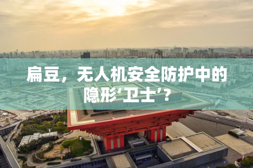 扁豆，无人机安全防护中的隐形‘卫士’？