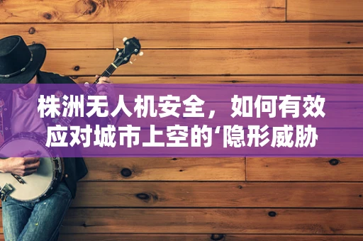 株洲无人机安全，如何有效应对城市上空的‘隐形威胁’？