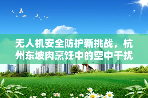无人机安全防护新挑战，杭州东坡肉烹饪中的空中干扰