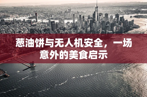 葱油饼与无人机安全，一场意外的美食启示