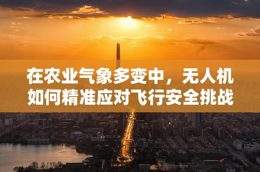 在农业气象多变中，无人机如何精准应对飞行安全挑战？