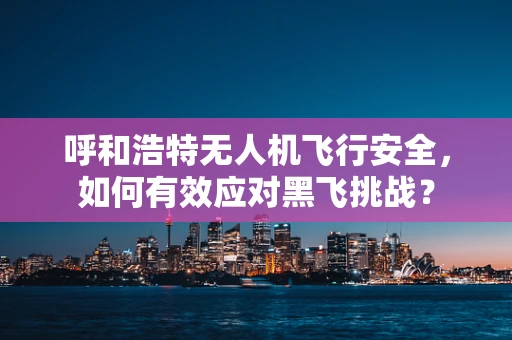 呼和浩特无人机飞行安全，如何有效应对黑飞挑战？
