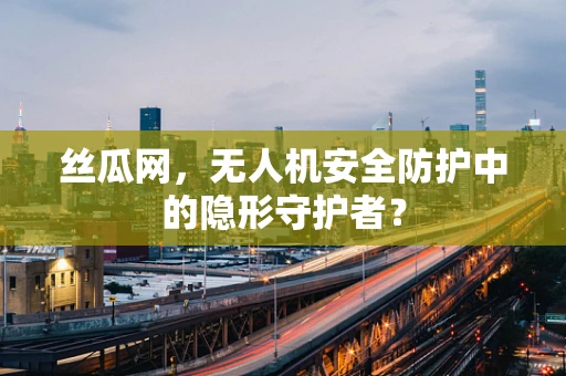 丝瓜网，无人机安全防护中的隐形守护者？