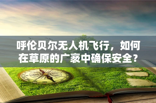 呼伦贝尔无人机飞行，如何在草原的广袤中确保安全？