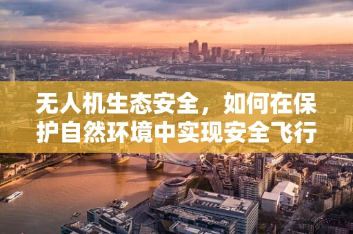 无人机生态安全，如何在保护自然环境中实现安全飞行？