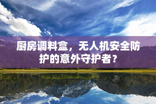 厨房调料盒，无人机安全防护的意外守护者？