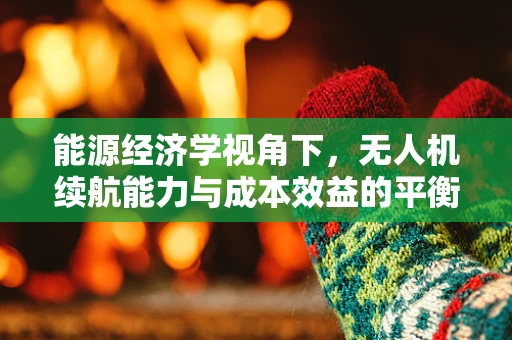 能源经济学视角下，无人机续航能力与成本效益的平衡策略