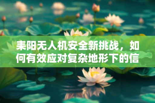 耒阳无人机安全新挑战，如何有效应对复杂地形下的信号干扰？