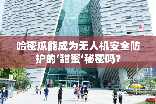 哈密瓜能成为无人机安全防护的‘甜蜜’秘密吗？