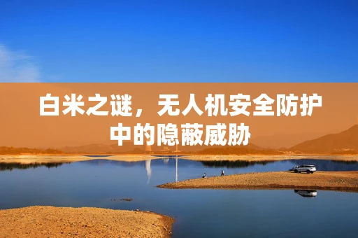白米之谜，无人机安全防护中的隐蔽威胁