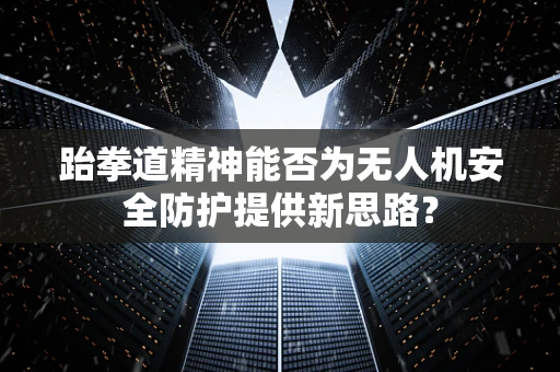跆拳道精神能否为无人机安全防护提供新思路？