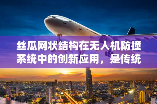 丝瓜网状结构在无人机防撞系统中的创新应用，是传统智慧的新生还是技术误入歧途？