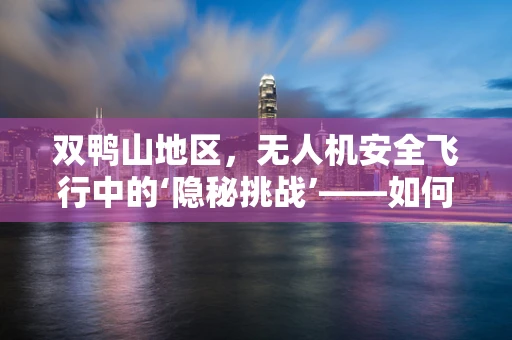 双鸭山地区，无人机安全飞行中的‘隐秘挑战’——如何有效规避地形与气候的双重风险？