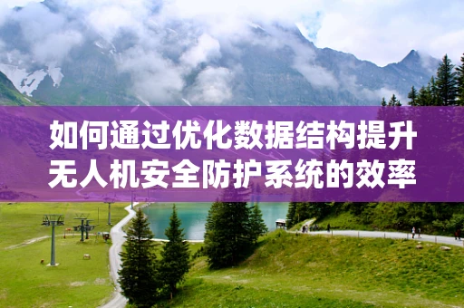 如何通过优化数据结构提升无人机安全防护系统的效率？