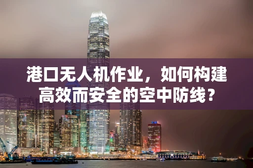 港口无人机作业，如何构建高效而安全的空中防线？