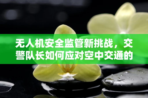 无人机安全监管新挑战，交警队长如何应对空中交通的隐忧？