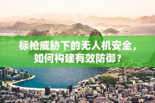 标枪威胁下的无人机安全，如何构建有效防御？