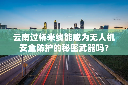 云南过桥米线能成为无人机安全防护的秘密武器吗？
