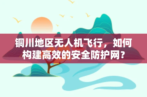 铜川地区无人机飞行，如何构建高效的安全防护网？
