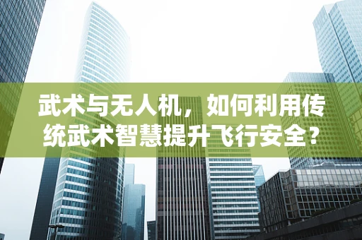 武术与无人机，如何利用传统武术智慧提升飞行安全？