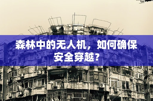 森林中的无人机，如何确保安全穿越？