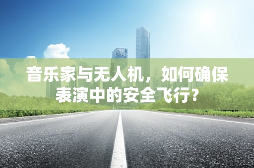 音乐家与无人机，如何确保表演中的安全飞行？