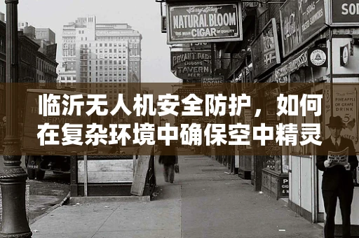 临沂无人机安全防护，如何在复杂环境中确保空中精灵的平稳飞行？