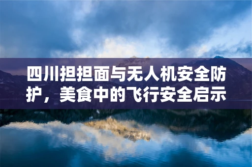 四川担担面与无人机安全防护，美食中的飞行安全启示