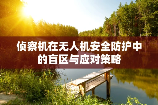 侦察机在无人机安全防护中的盲区与应对策略