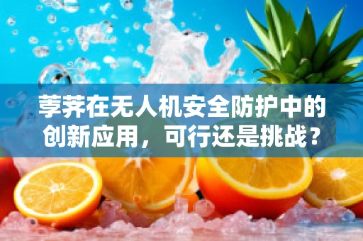 荸荠在无人机安全防护中的创新应用，可行还是挑战？