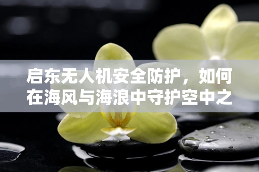 启东无人机安全防护，如何在海风与海浪中守护空中之翼？
