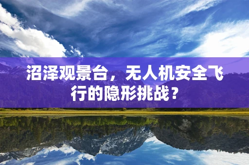沼泽观景台，无人机安全飞行的隐形挑战？