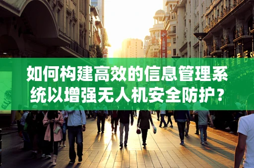 如何构建高效的信息管理系统以增强无人机安全防护？