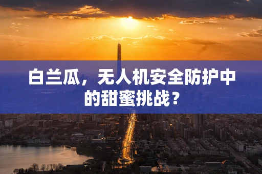 白兰瓜，无人机安全防护中的甜蜜挑战？
